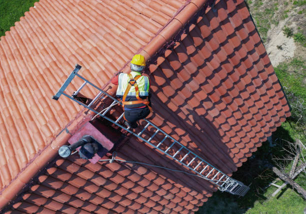 Best Roof Coating and Sealing  in Chantilly, VA