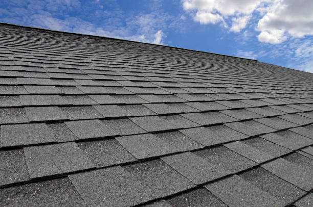 Best Roof Insulation Installation  in Chantilly, VA
