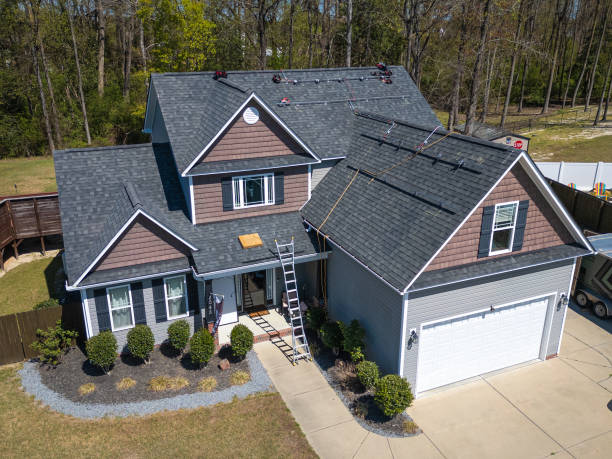 Best Roof Moss and Algae Removal  in Chantilly, VA